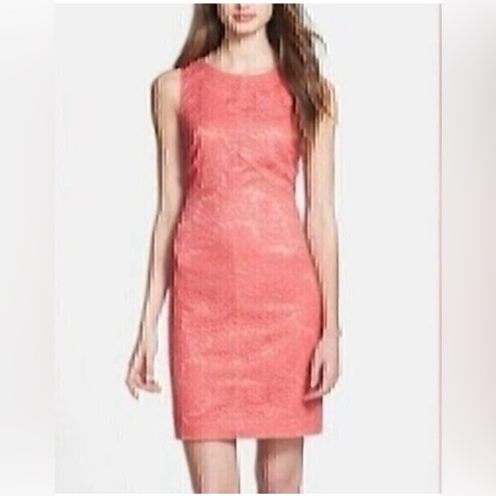 VINCE CAMUTO Coral Pink Orange Floral Lace Panel Sleeveless Mini Sheath Dress 4